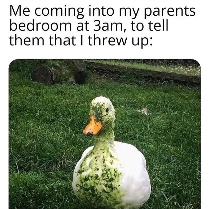 Me coming into my parents bedroom at 3am, to tell them that I threw up: