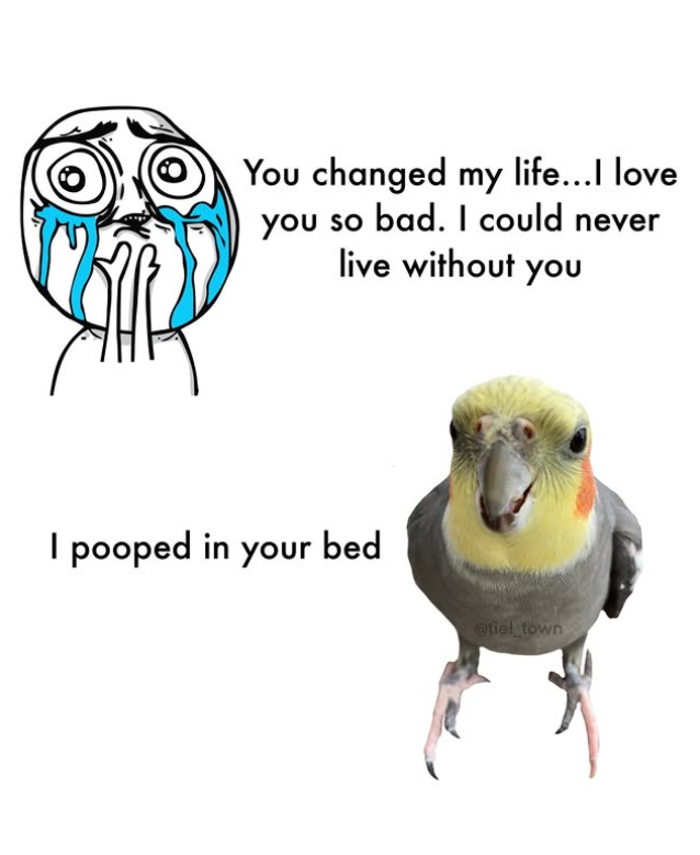 You changed my life...I love you so bad. I could never live without you I pooped in your bed @tiel_town