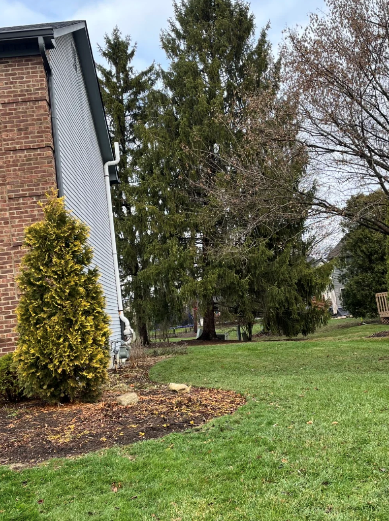 Cheezburger Image 10616598528