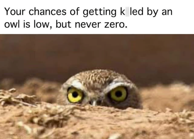 Your chances of getting k led by an owl is low, but never zero.