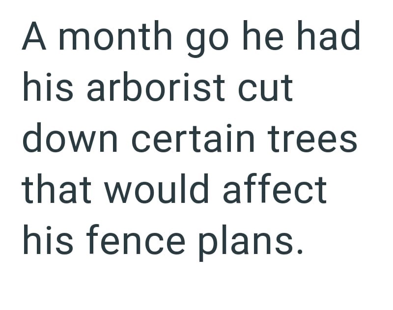 A month go he had his arborist cut down certain trees that would affect his fence plans.