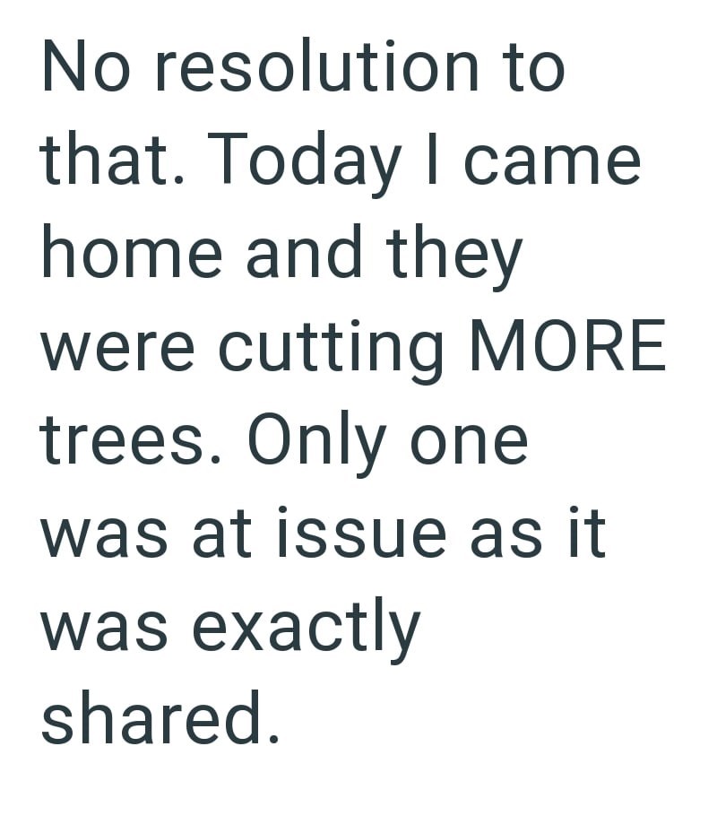 No resolution to that. Today I came home and they were cutting MORE trees. Only one was at issue as it was exactly shared.