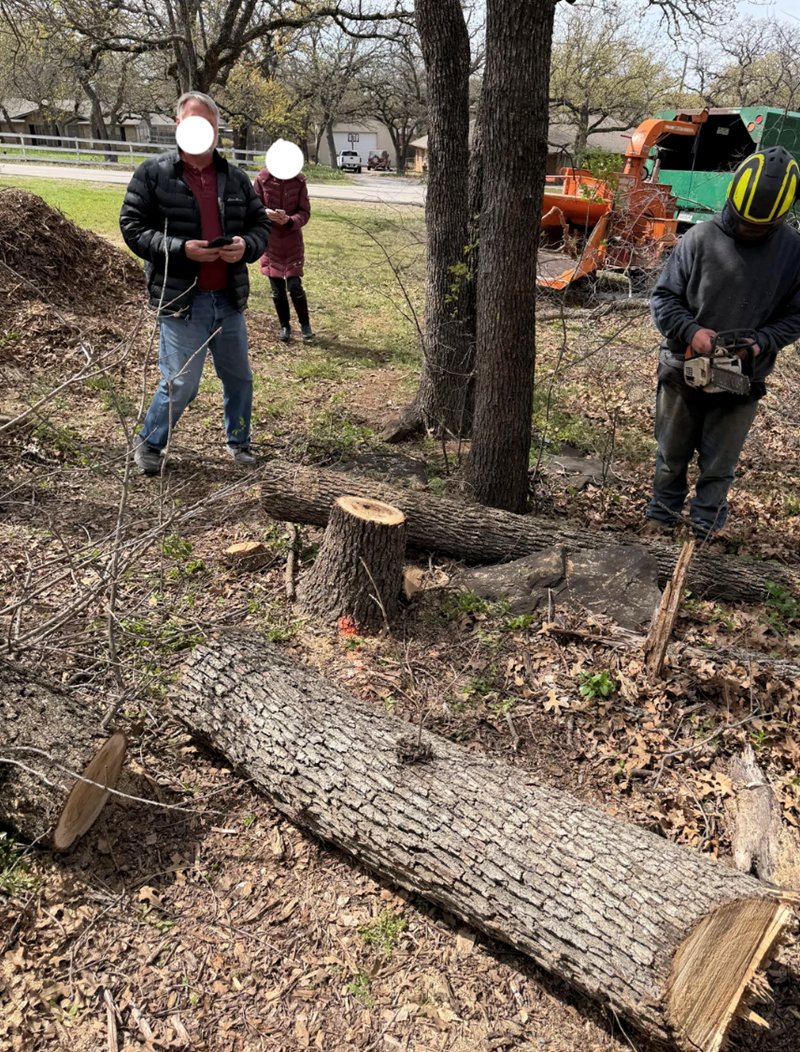 Cheezburger Image 10616604928