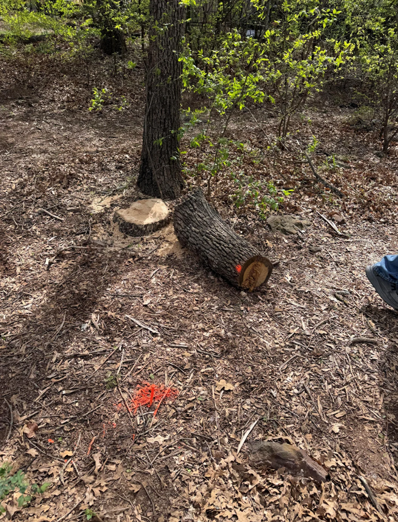 Cheezburger Image 10616605184