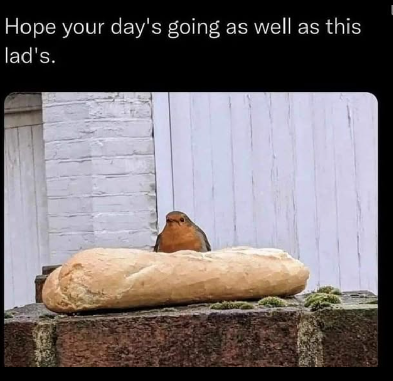 Hope your day's going as well as this lad's.