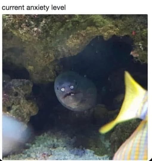 current anxiety level