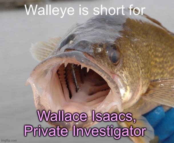 Walleye is short for imgflip.com Wallace Isaacs, Private Investigator