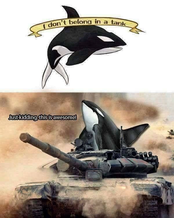 I don't belong in a tank Just kidding, this is awesome!