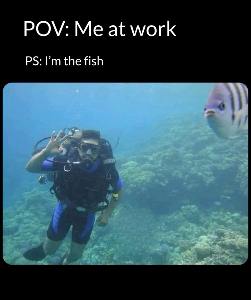 POV: Me at work PS: I'm the fish