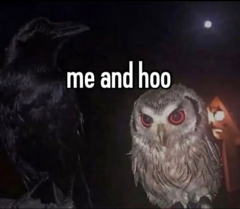 me and hoo