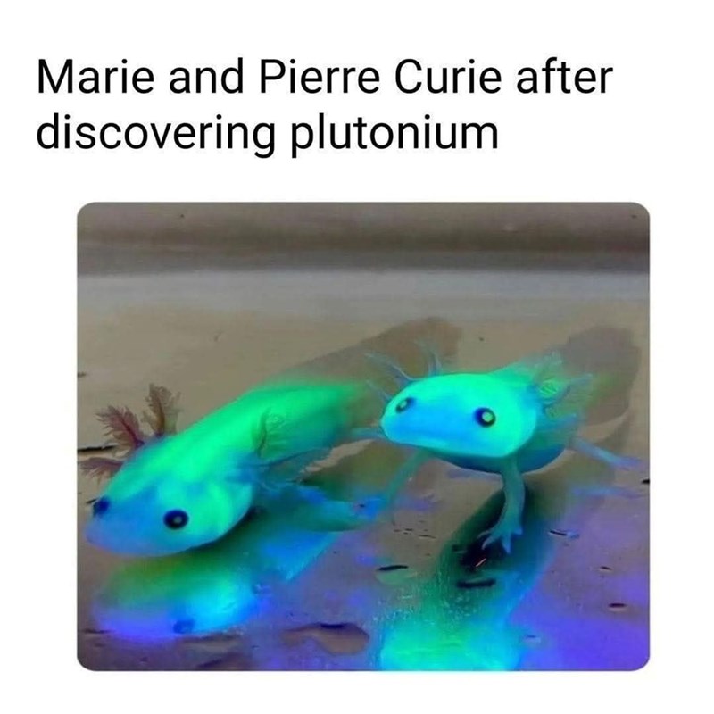 Marie and Pierre Curie after discovering plutonium