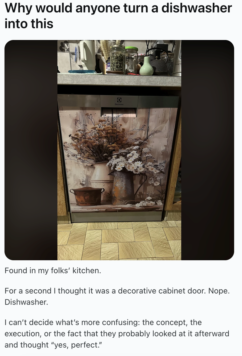 Why would anyone turn a dishwasher into this C Electrolux Found in my folks' kitchen. For a second I thought it was a decorative cabinet door. Nope. Dishwasher. I can't decide what's more confusing: the concept, the execution, or the fact that they probably looked at it afterward and thought "yes, perfect."