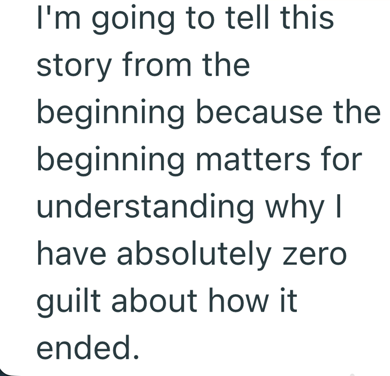 I'm going to tell this story from the beginning because the beginning matters for understanding why I have absolutely zero guilt about how it ended.