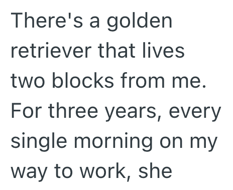 There's a golden retriever that lives two blocks from me. For three years, every single morning on my way to work, she