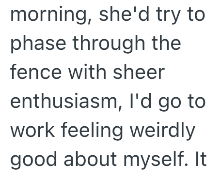 morning, she'd try to phase through the fence with sheer enthusiasm, I'd go to work feeling weirdly good about myself. It