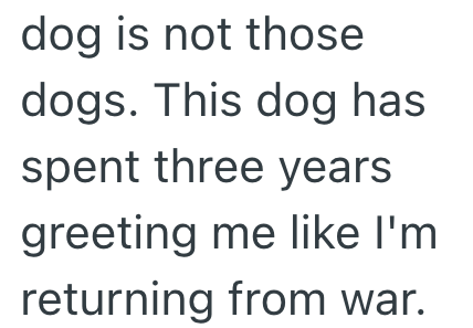 dog is not those dogs. This dog has spent three years greeting me like I'm returning from war.