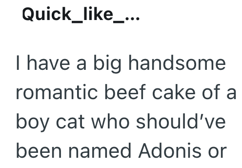 Quick_like_... I have a big handsome romantic beef cake of a boy cat who should've been named Adonis or