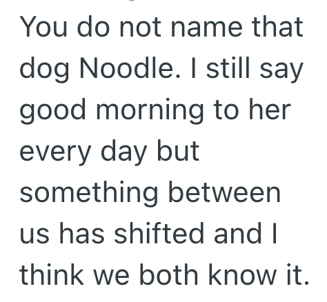 You do not name that dog Noodle. I still say good morning to her every day but something between us has shifted and I think we both know it.