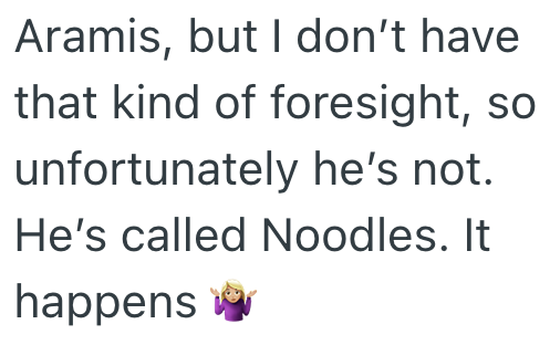 Aramis, but I don't have that kind of foresight, so unfortunately he's not. He's called Noodles. It happens