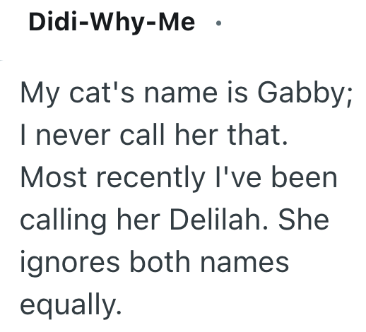 Didi-Why-Me . My cat's name is Gabby; I never call her that. Most recently I've been. calling her Delilah. She ignores both names equally.
