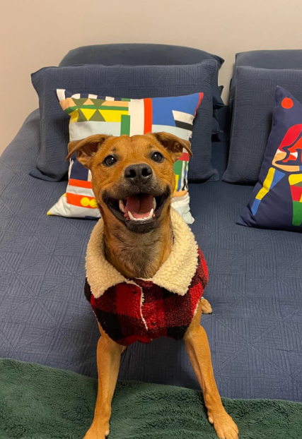 Cheezburger Image 10616662016