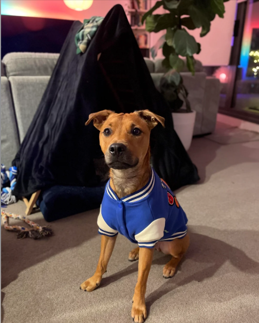 Cheezburger Image 10616662528