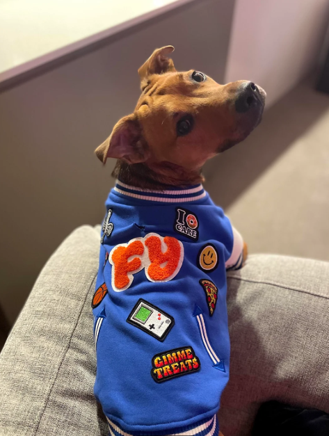 IO CARE GIMME TREATS