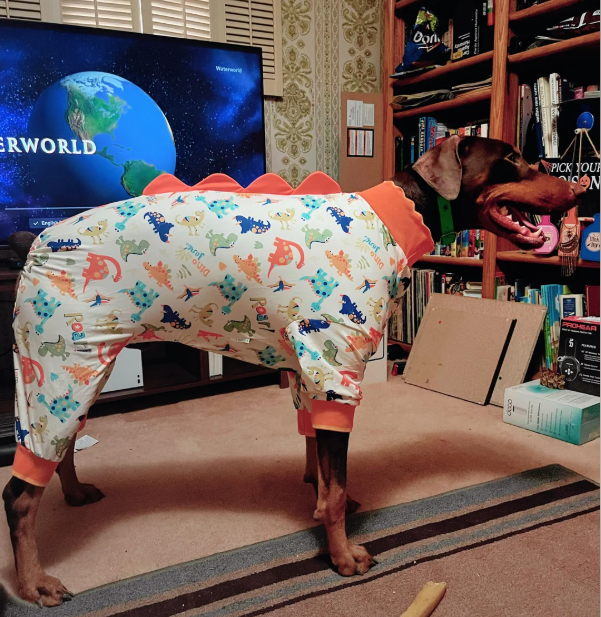 ERWORLD Eng Roa Wawrworld Jand Ding Roar! Don Dine T PICK YOUR NODIC A van PROHEAR