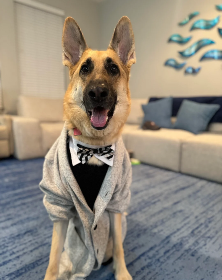 Cheezburger Image 10616663552