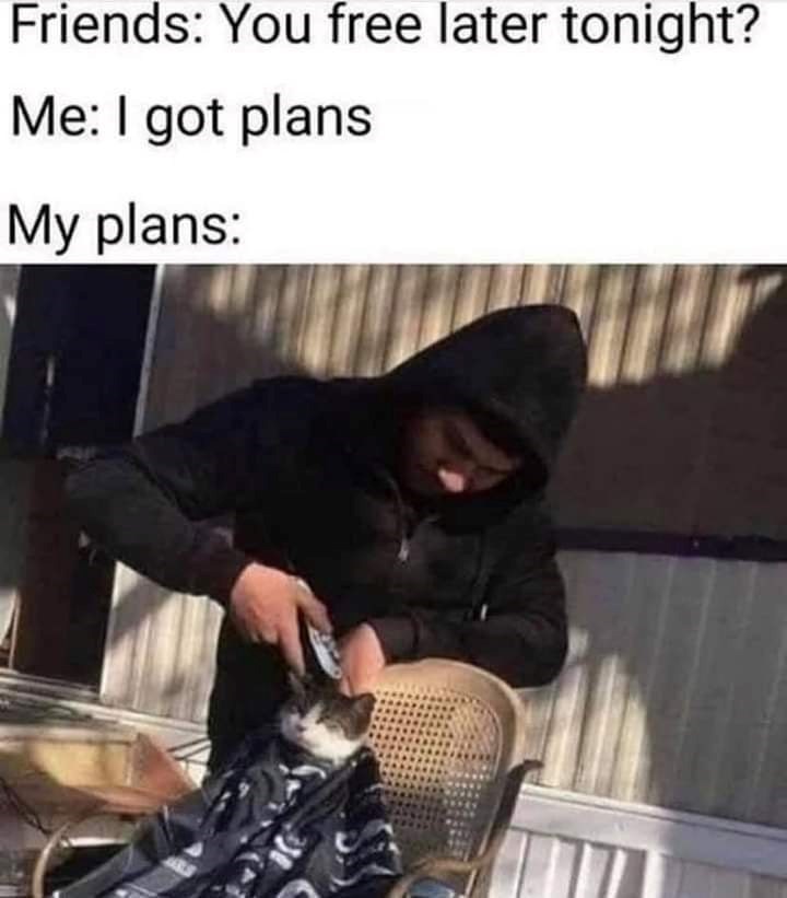Friends: You free later tonight? Me: I got plans My plans: