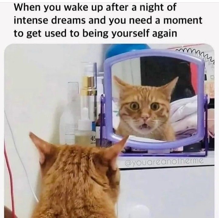 When you wake up after a night of intense dreams and you need a moment to get used to being yourself again 45 @youareanotherme