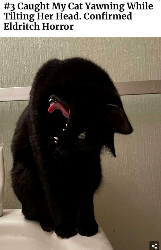 #3 Caught My Cat Yawning While Tilting Her Head. Confirmed Eldritch Horror V