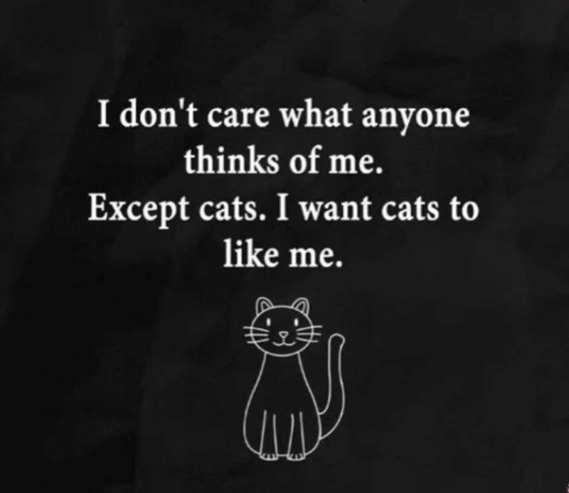 I don't care what anyone thinks of me. Except cats. I want cats to like me.