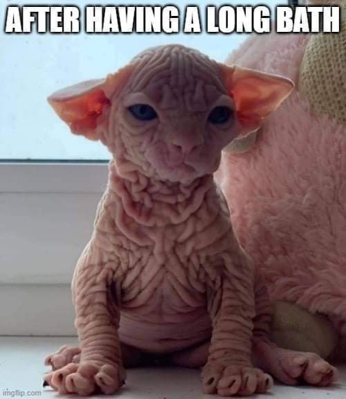 AFTER HAVING A LONG BATH imgflip.com