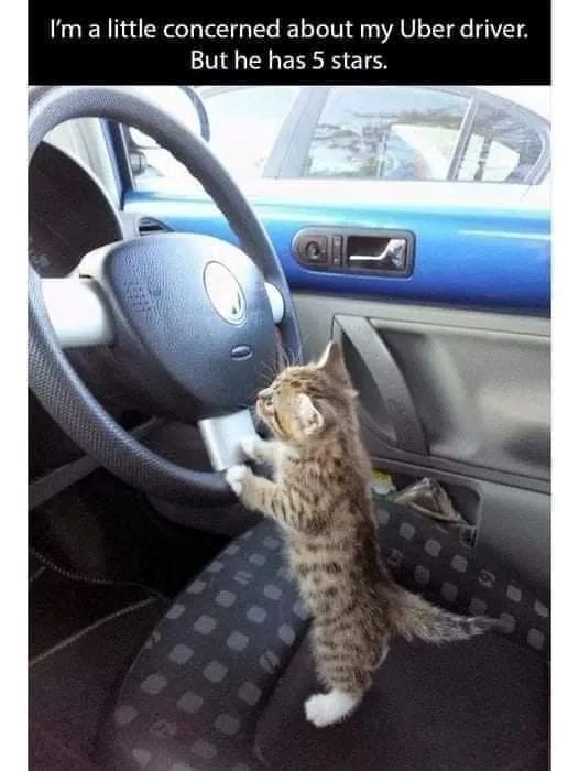 I'm a little concerned about my Uber driver. But he has 5 stars.