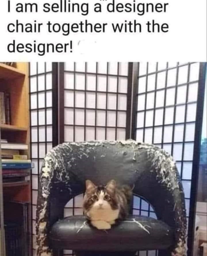 I am selling a designer chair together with the designer!