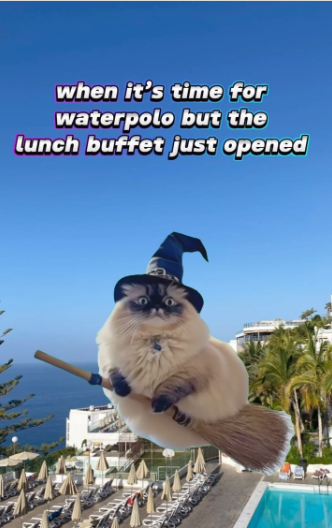 when it's time for waterpolo but the lunch buffet just opened