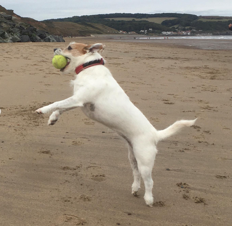 Cheezburger Image 10616692224