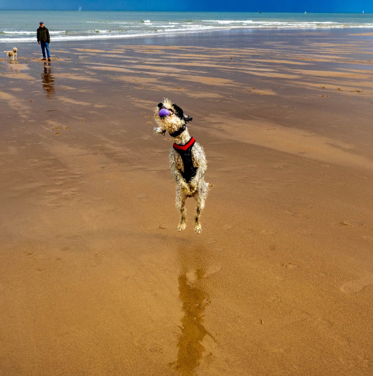 Cheezburger Image 10616701952