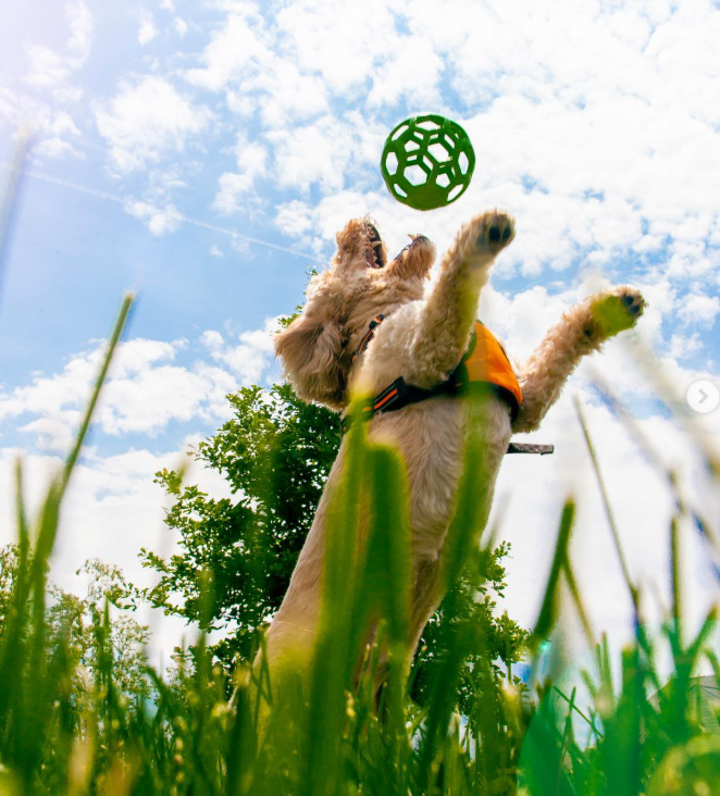 Cheezburger Image 10616709120