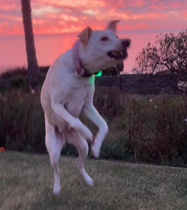 Cheezburger Image 10616713728