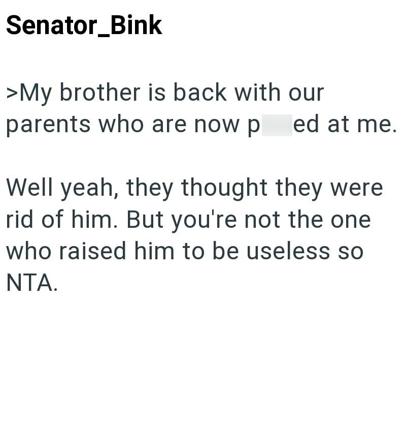 Senator_Bink >My brother is back with our parents who are now p ed at me. Well yeah, they thought they were rid of him. But you're not the one who raised him to be useless so NTA.