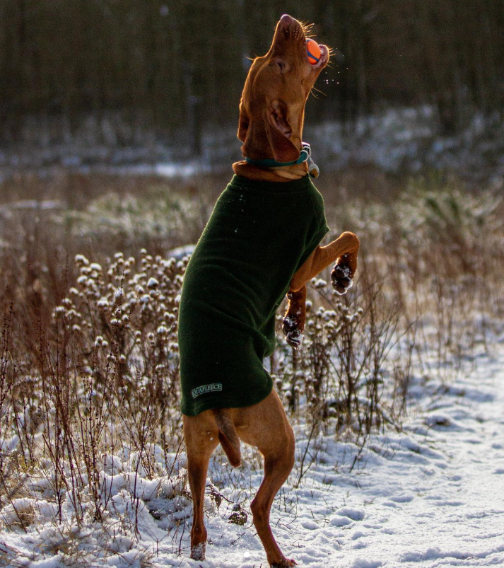 Cheezburger Image 10616719616