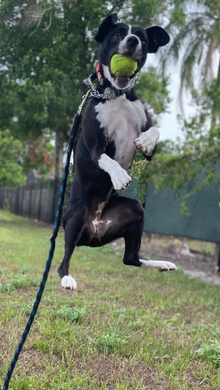 Cheezburger Image 10616720128