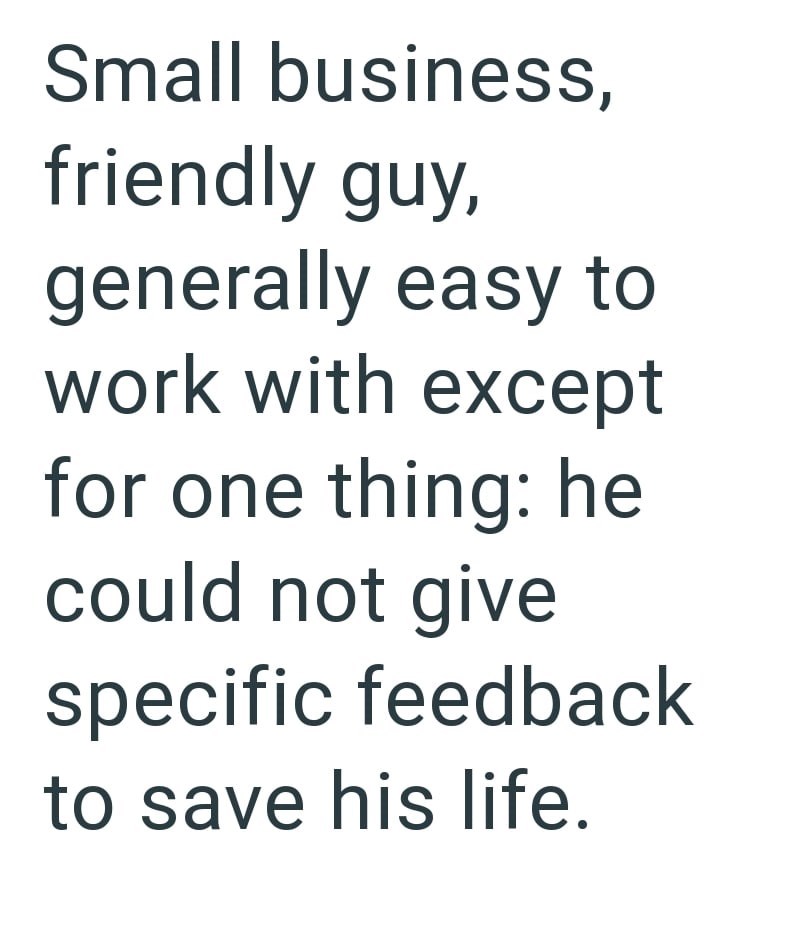 Small business, friendly guy, generally easy to work with except for one thing: he could not give specific feedback to save his life.