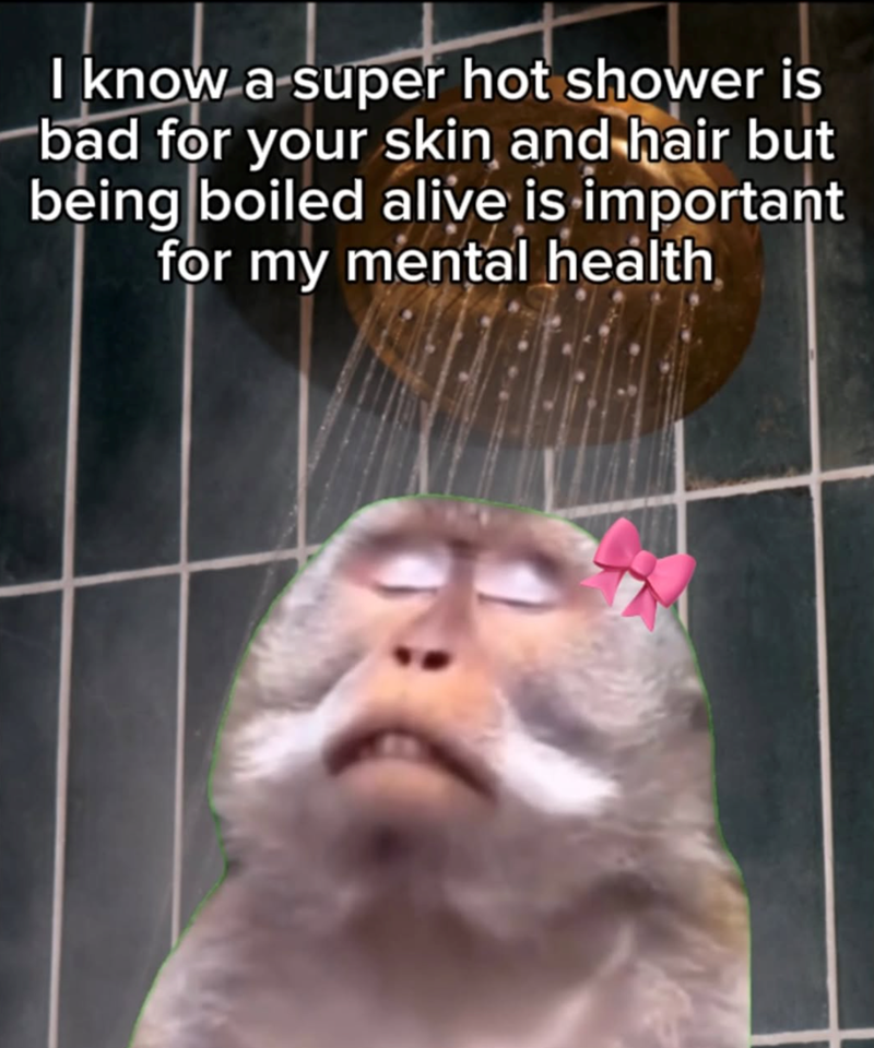 I know a super hot shower is bad for your skin and hair but being boiled alive is important for my mental health
