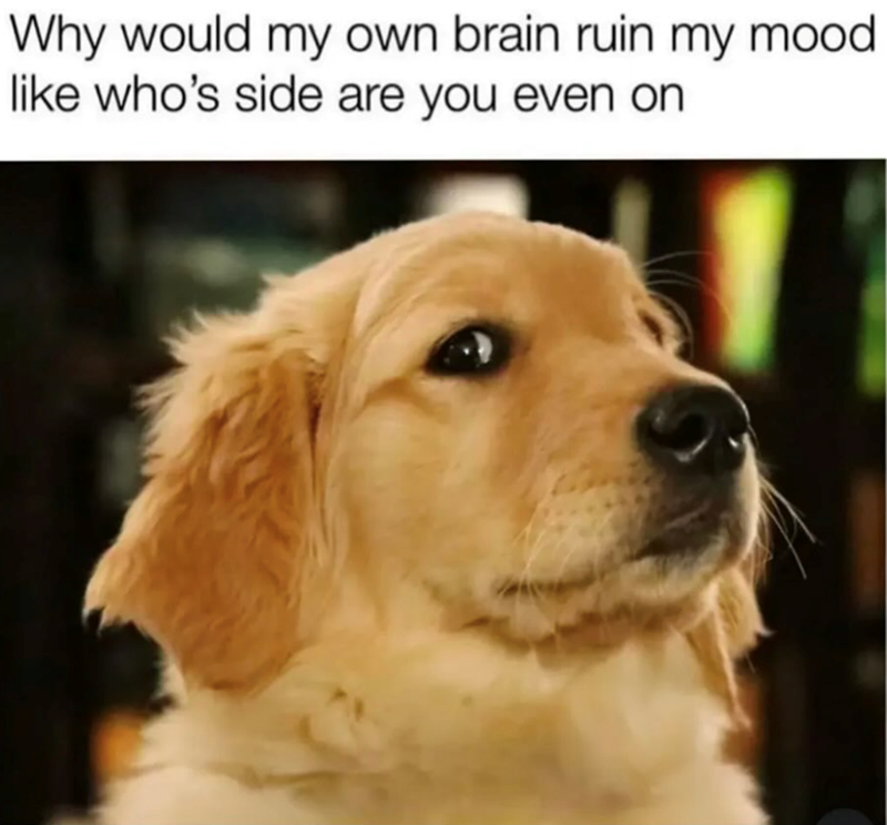 Why would my own brain ruin my mood. like who's side are you even on