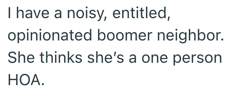 I have a noisy, entitled, opinionated boomer neighbor. She thinks she's a one person HOA.
