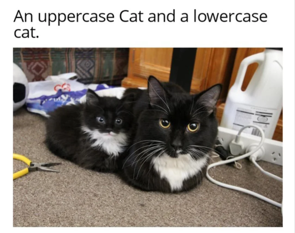 An uppercase Cat and a lowercase cat.
