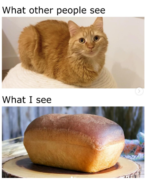 What other people see What I see